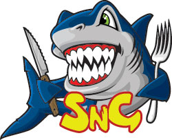 Poker Strategy – SNG Pointers 